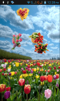 Capture d'écran de l'application Tulipes - #5