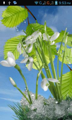 Capture d'écran de l'application Spring - #7