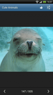 Capture d'écran de l'application Animaux mignons - #3