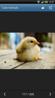 Capture d'écran de l'application Animaux mignons - #5