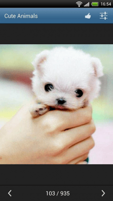 Capture d'écran de l'application Animaux mignons - #6