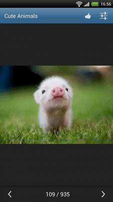 Capture d'écran de l'application Animaux mignons - #7