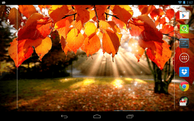 Capture d'écran de l'application Lumière d'automne - #2