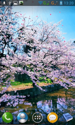 Capture d'écran de l'application Sakura - #4