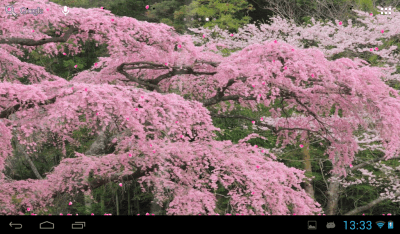 Capture d'écran de l'application Sakura - #5