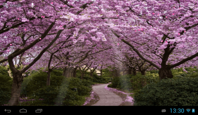 Capture d'écran de l'application Sakura - #6