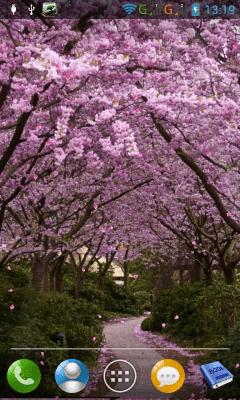 Capture d'écran de l'application Sakura - #11