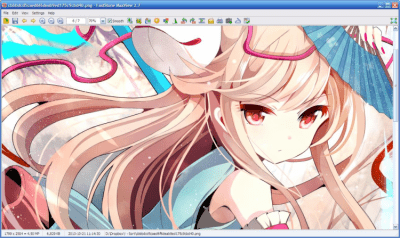 Capture d'écran de l'application FastStone MaxView - #3