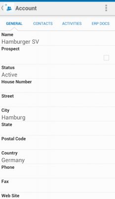 Capture d'écran de l'application SAP Hybris Cloud for Customer - #3