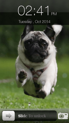 Capture d'écran de l'application Dog Screen Lock - #3
