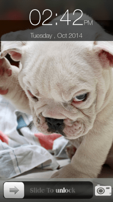 Capture d'écran de l'application Dog Screen Lock - #6