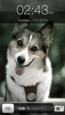 Capture d'écran de l'application Dog Screen Lock - #9