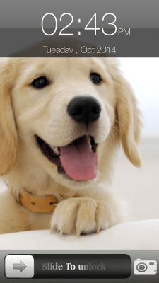 Capture d'écran de l'application Dog Screen Lock - #10