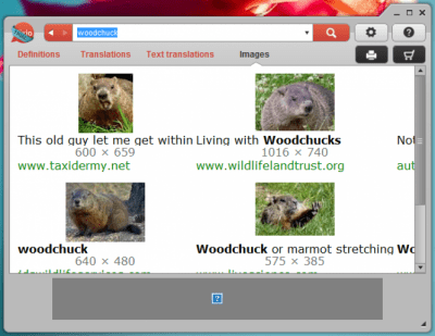 Capture d'écran de l'application Dixio Desktop - #3