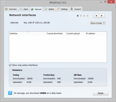 Capture d'écran de l'application WhatPulse - #3