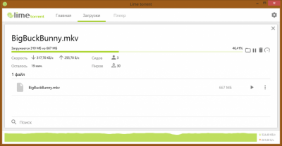 Capture d'écran de l'application Lime torrent - #4