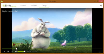 Capture d'écran de l'application Lime torrent - #5