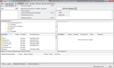 Capture d'écran de l'application FileZilla - #3