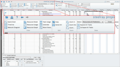 Capture d'écran de l'application Steelray Project Viewer - #5