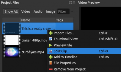 Capture d'écran de l'application OpenShot Video Editor - #2