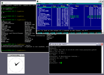 Capture d'écran de l'application Cygwin - #1