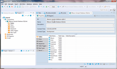 Capture d'écran de l'application DBeaver Windows - #3