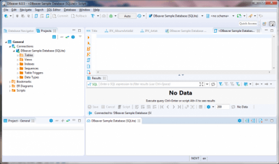 Capture d'écran de l'application DBeaver Windows - #5