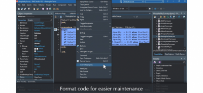 Capture d'écran de l'application Delphi - #4