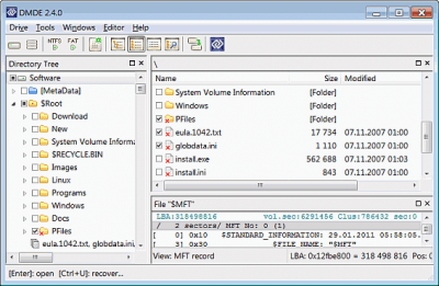 Capture d'écran de l'application DMDE (DM Disk Editor and Data Recovery) - #1