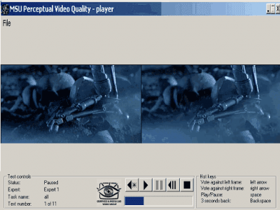 Capture d'écran de l'application MSU Perceptual Video Quality Tool - #1