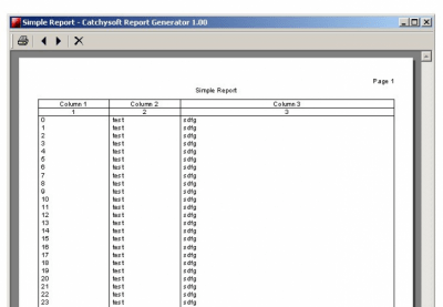 Capture d'écran de l'application Catchysoft Report Generator Pro - #1