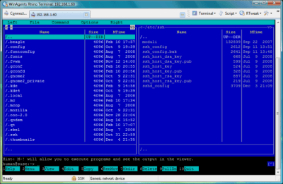 Capture d'écran de l'application Rhino Terminal - #1