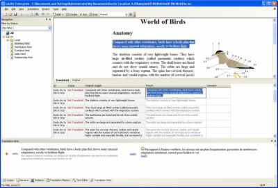 Capture d'écran de l'application Excitic Website Localization Tool - #1