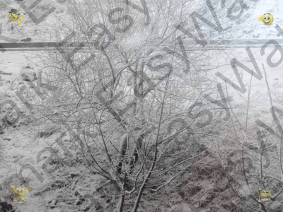 Capture d'écran de l'application EasyWatermark - #9