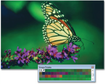 Capture d'écran de l'application CorelDRAW Graphics Suite - #4