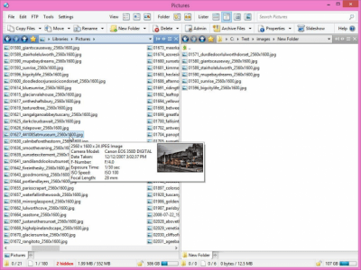 Capture d'écran de l'application Directory Opus - #3