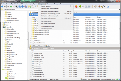 Capture d'écran de l'application XYplorer - #5