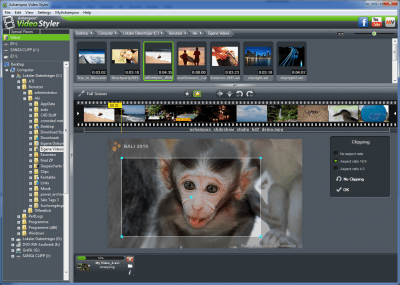 Capture d'écran de l'application Ashampoo Video Styler - #2