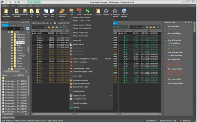 Capture d'écran de l'application UltraCompare - #4