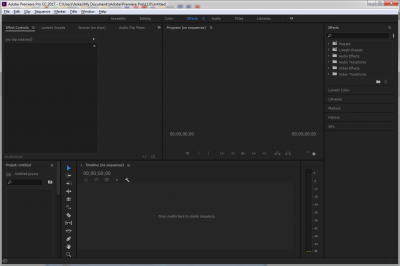 Capture d'écran de l'application Première Pro - #5