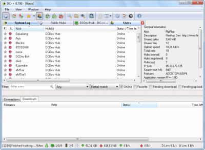 Capture d'écran de l'application DC++ - #4