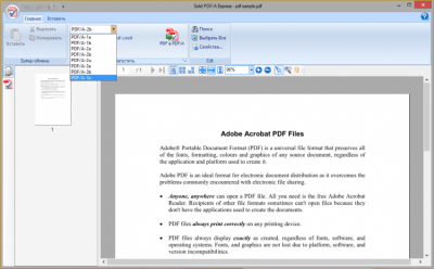 Capture d'écran de l'application Solid PDF/A Express - #2