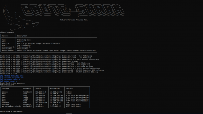 Capture d'écran de l'application BruteShark - #6