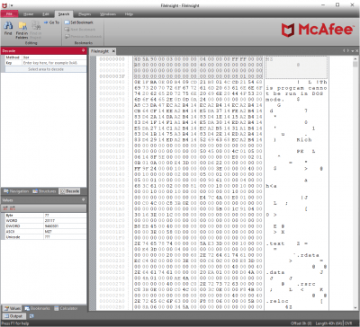 Capture d'écran de l'application FileInsight - #3