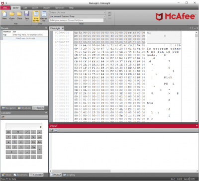 Capture d'écran de l'application FileInsight - #5