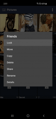 Capture d'écran de l'application Secure Gallery(Pic/Video Lock) - #5