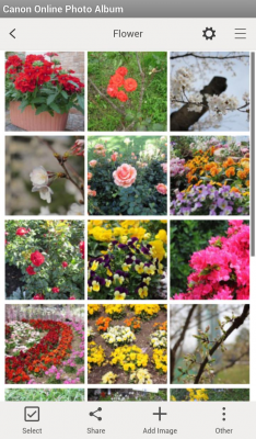 Capture d'écran de l'application Canon Online Photo Album - #4