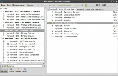 Capture d'écran de l'application Foobnix - #4