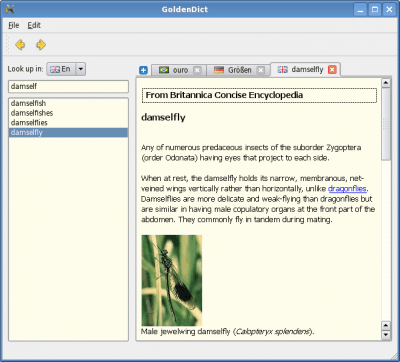 Capture d'écran de l'application GoldenDict - #12