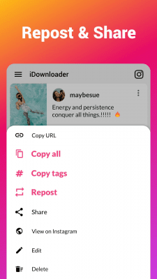 Capture d'écran de l'application Video Downloader for Instagram - #5